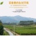 紫香一号40~50g紫果产地直销价格美丽