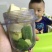 牛油果智利.墨西哥牛油果6个装55元包邮！单2