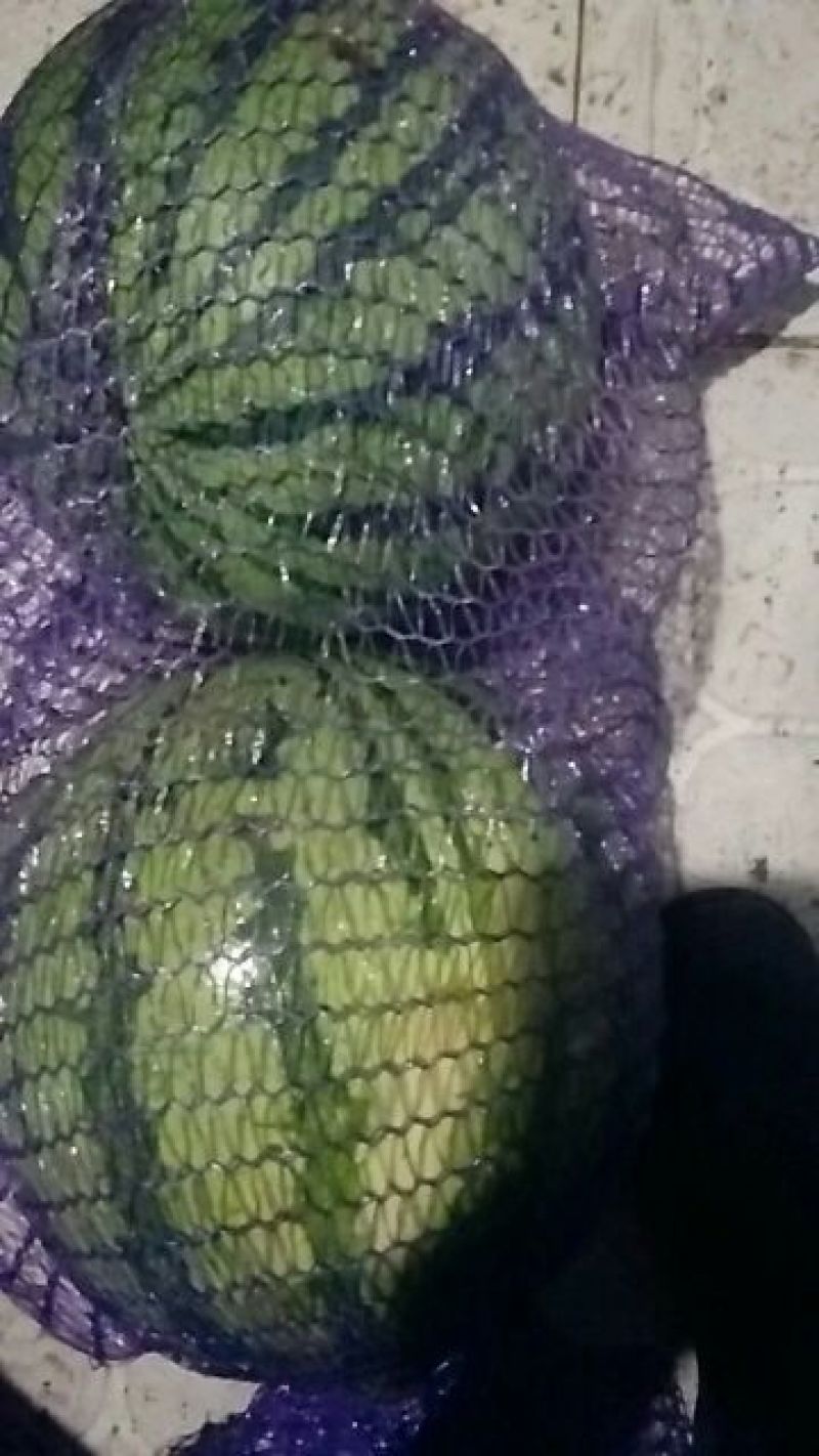 8424玉麒麟西瓜
