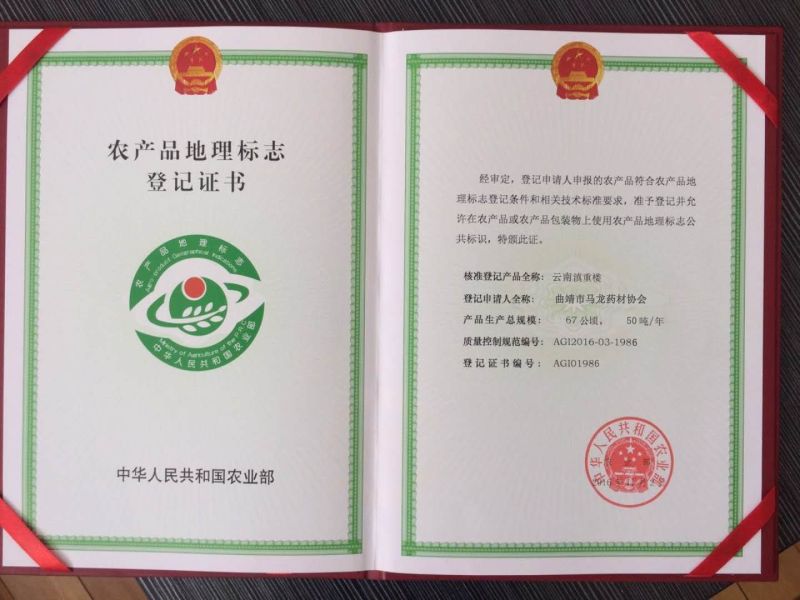 【良心推荐】云南纯正滇重楼矮杆重楼