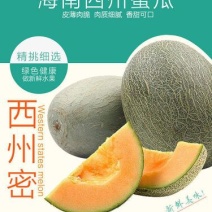 哈密瓜精品西州蜜小蜜25哈密瓜