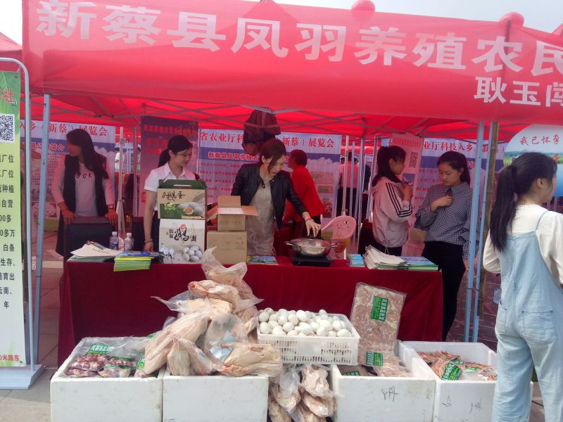 凤羽鹅业