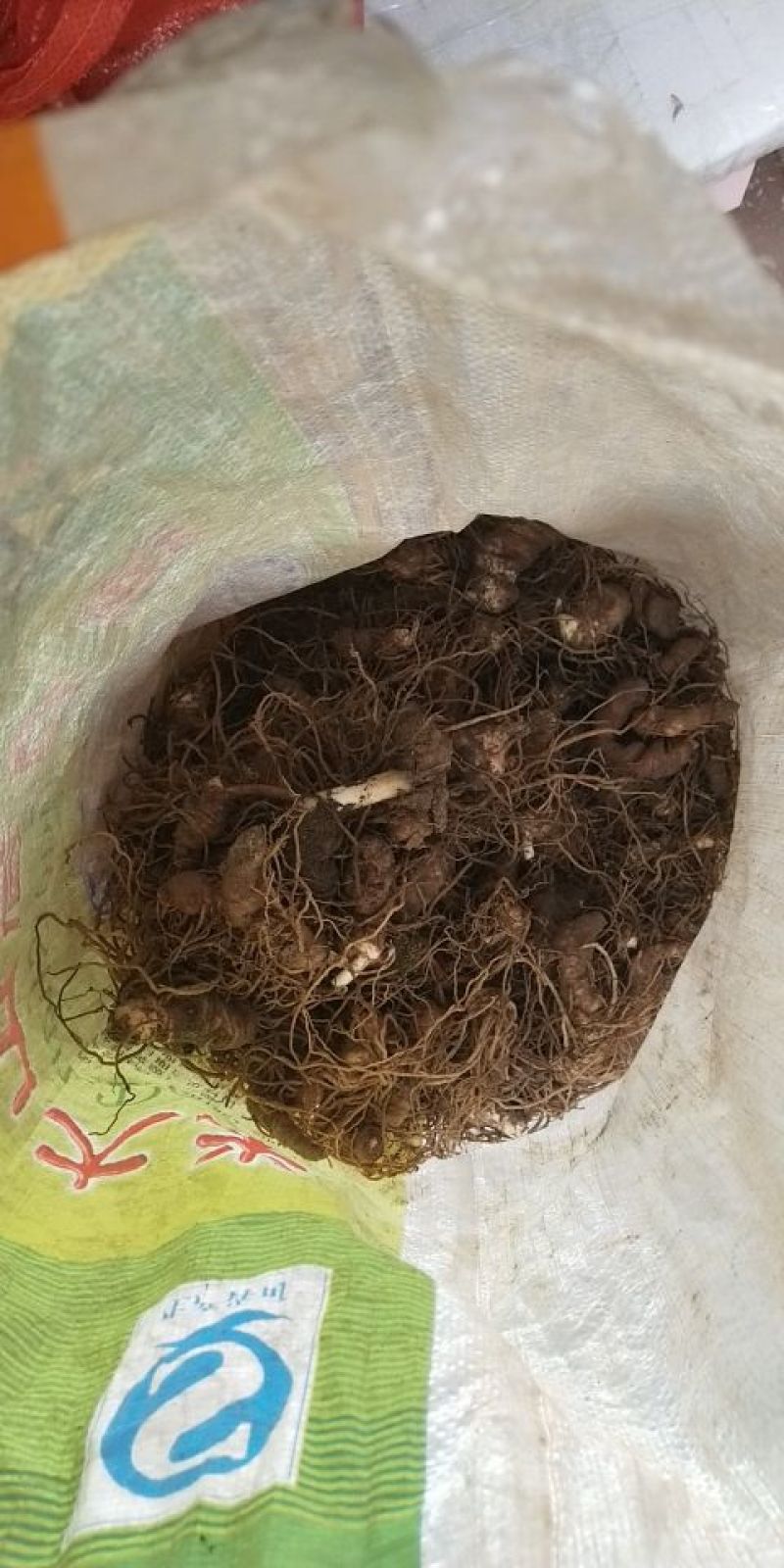 大量供应野生货源，价格优惠需要私聊