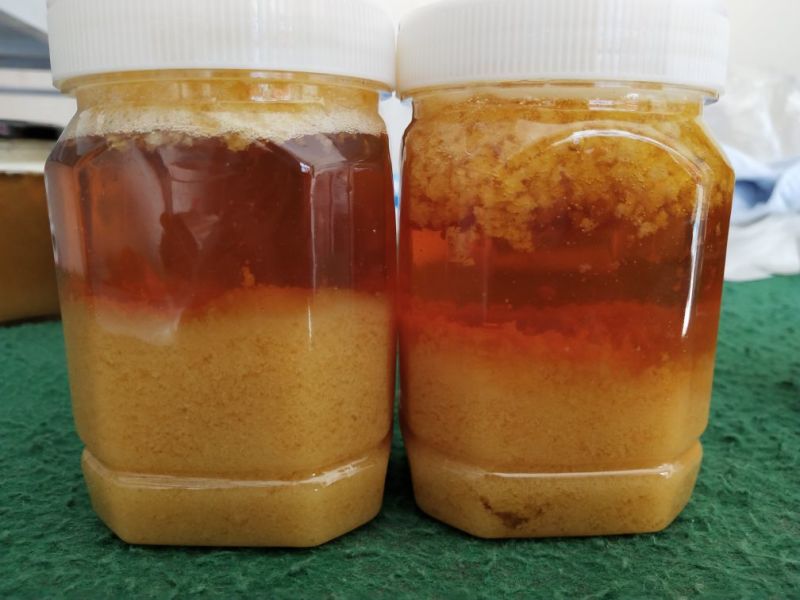 大量供应野生货源，价格优惠需要私聊