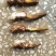 大量供应野生货源，价格优惠需要私聊