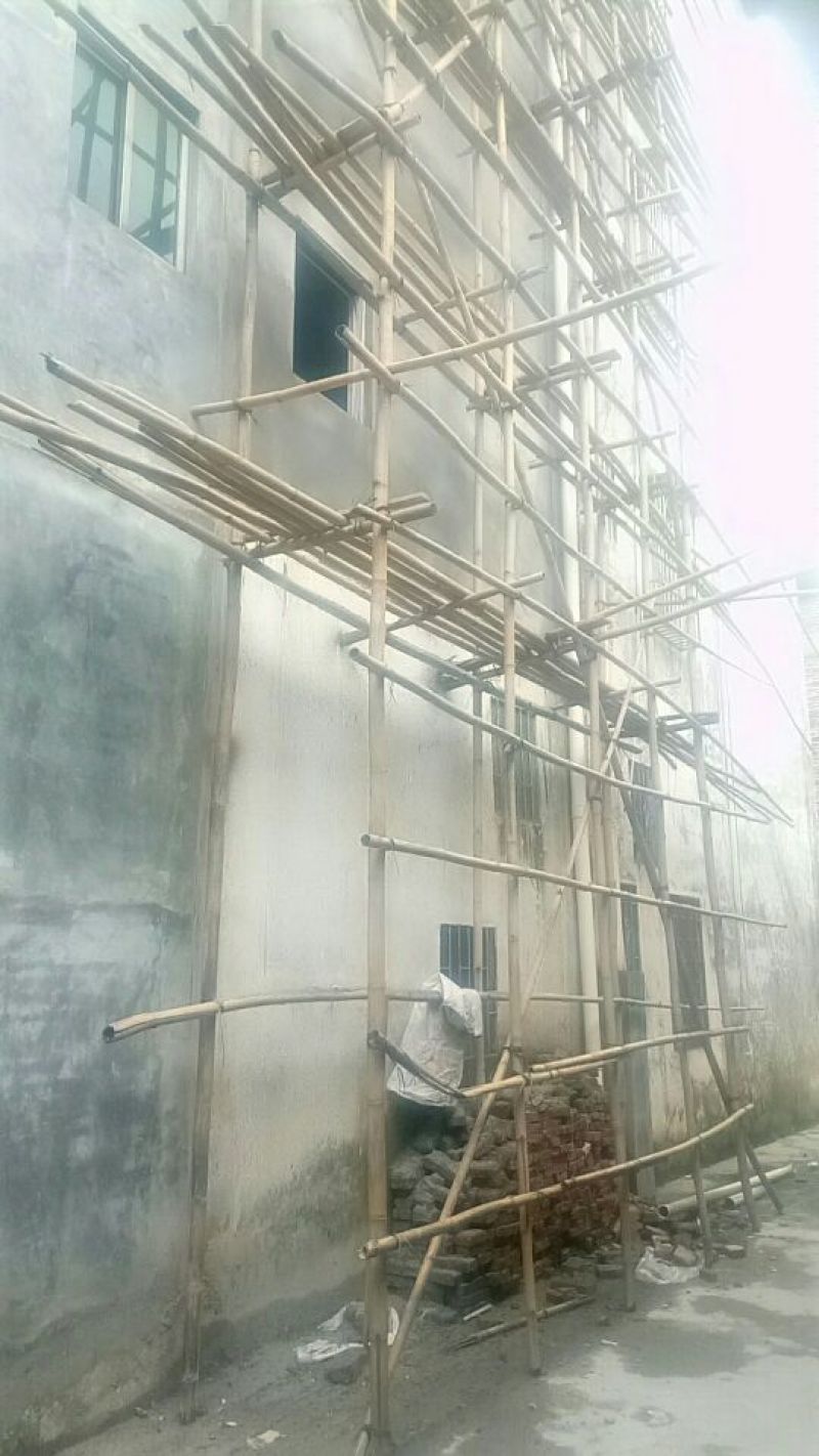 竹子7~8m建筑搭棚排栅竹