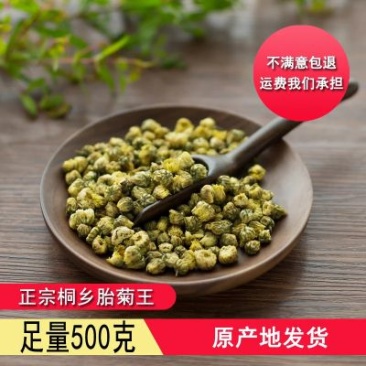 正宗桐乡胎菊王