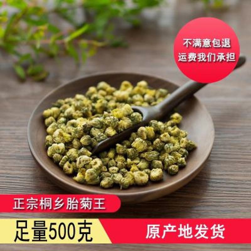 正宗桐乡胎菊王
