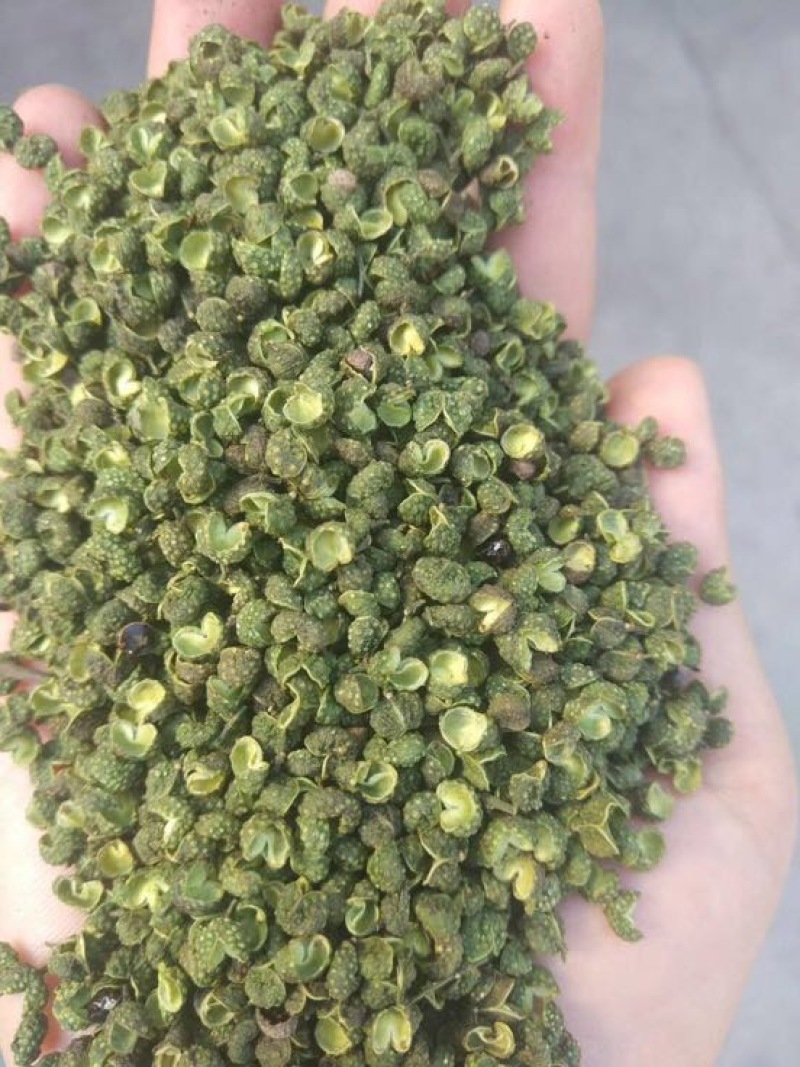 青花椒特级干