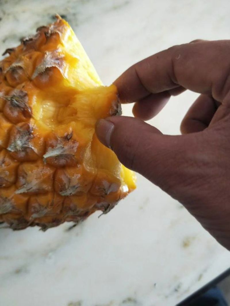 海南手撕菠萝凤梨