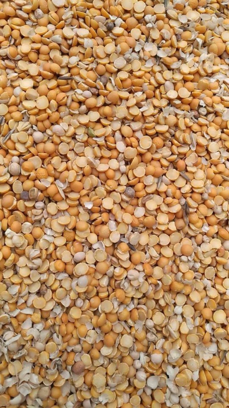豌豆瓣，二分之一瓣，分带皮和不带皮两种。