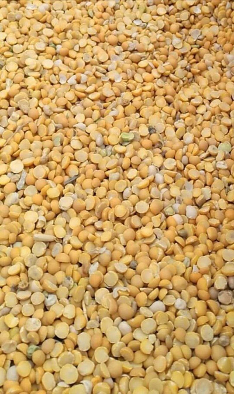 豌豆瓣，二分之一瓣，分带皮和不带皮两种。