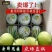 50箱起批，9个装，海南文昌椰子包邮
