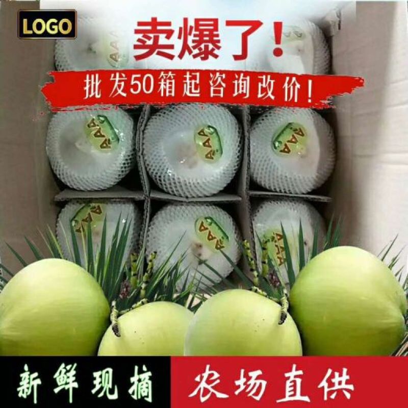 50箱起批，9个装，海南文昌椰子包邮
