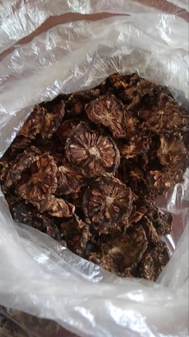 诺丽果3~5cm