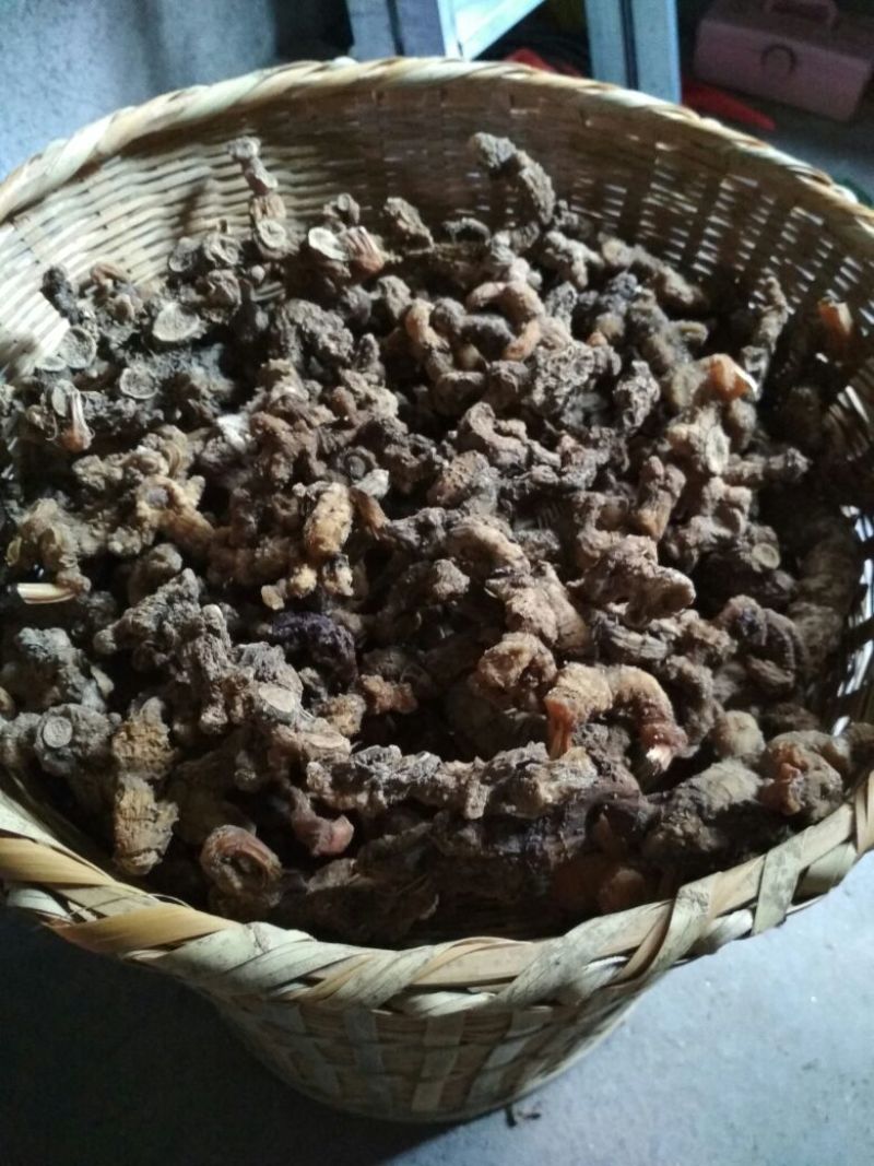 黄精