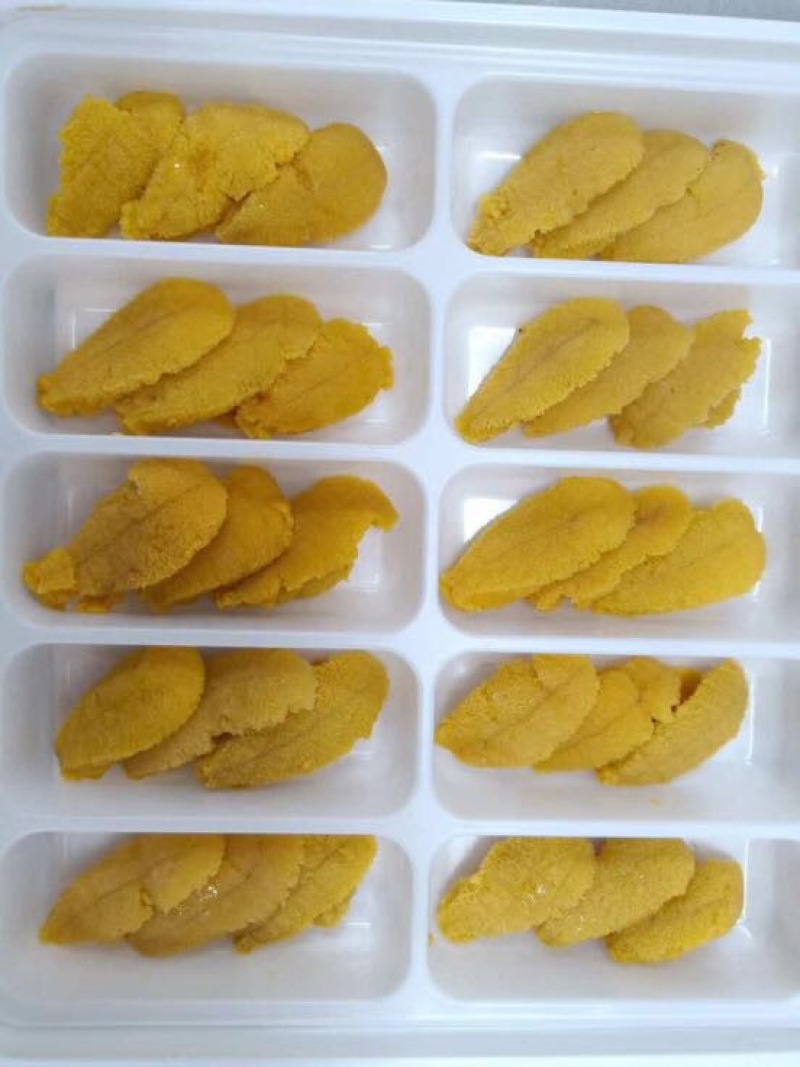冰鲜，紫胆，马胆，新鲜加工，产地直供一手货源