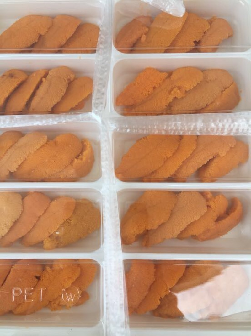 冰鲜，紫胆，马胆，新鲜加工，产地直供一手货源