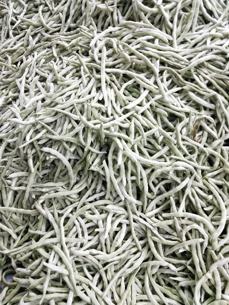 黑茄子！油豆！白豆！尖椒！白圆茄！麻辣椒