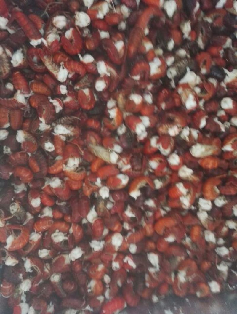 小龙虾虾尾