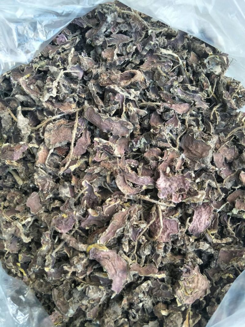 红景天，切片货