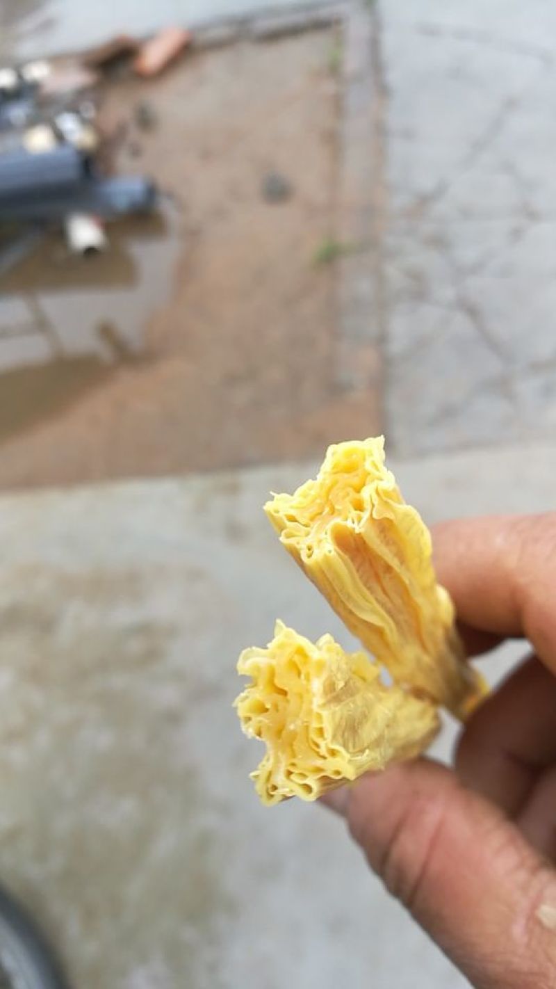 腐竹优质腐竹