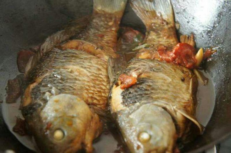 纯野生鲫鱼绝对的天然无公害食品假一罚万