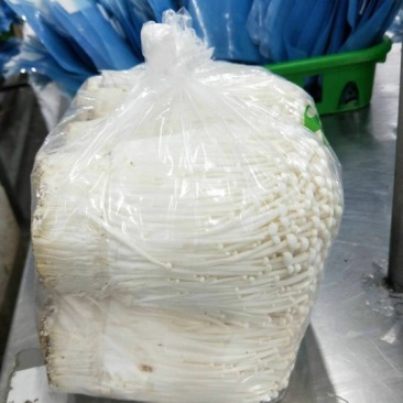 金针菇