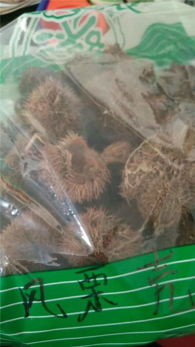 风栗壳