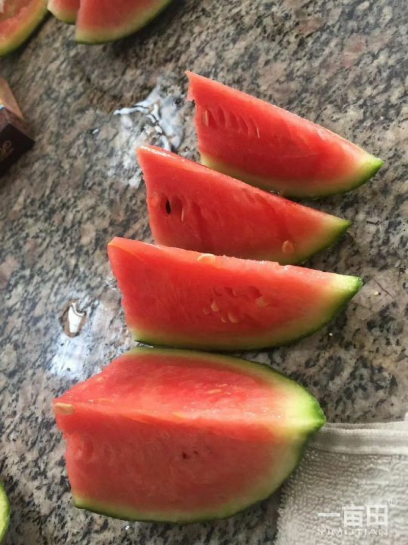 我们西瓜供销