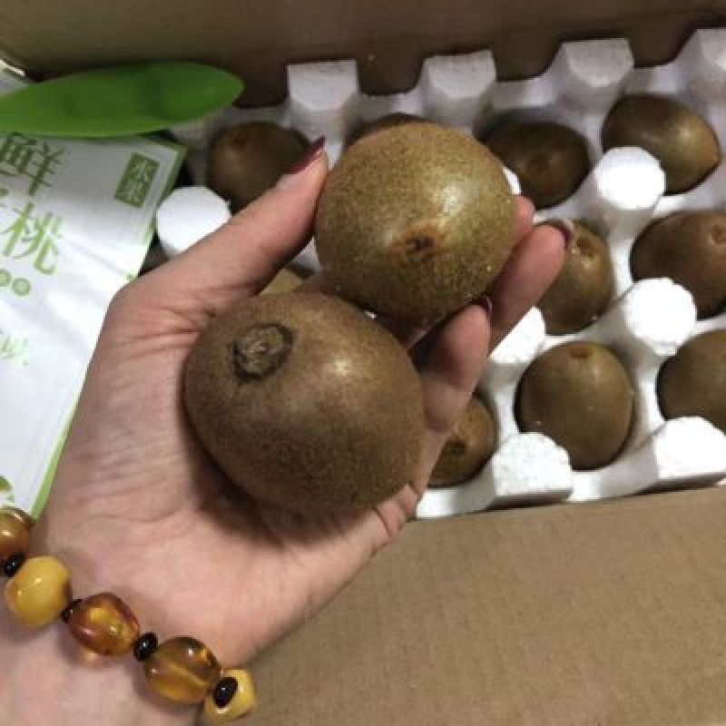 徐香猕猴桃，支持一件代发
