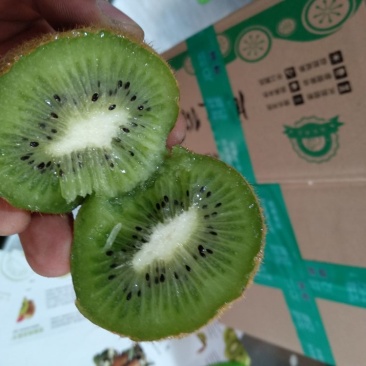 徐香猕猴桃，支持一件代发
