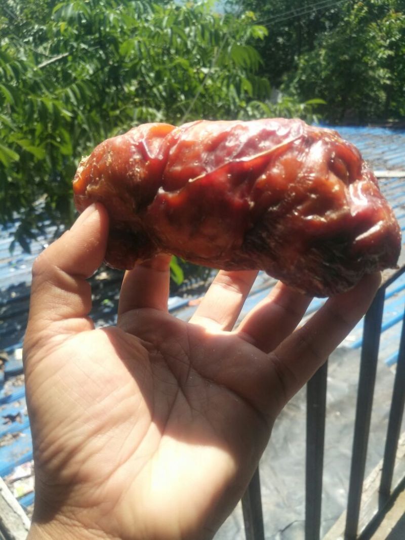 传说中的稀世鸡宝