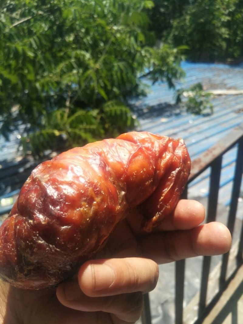 传说中的稀世鸡宝