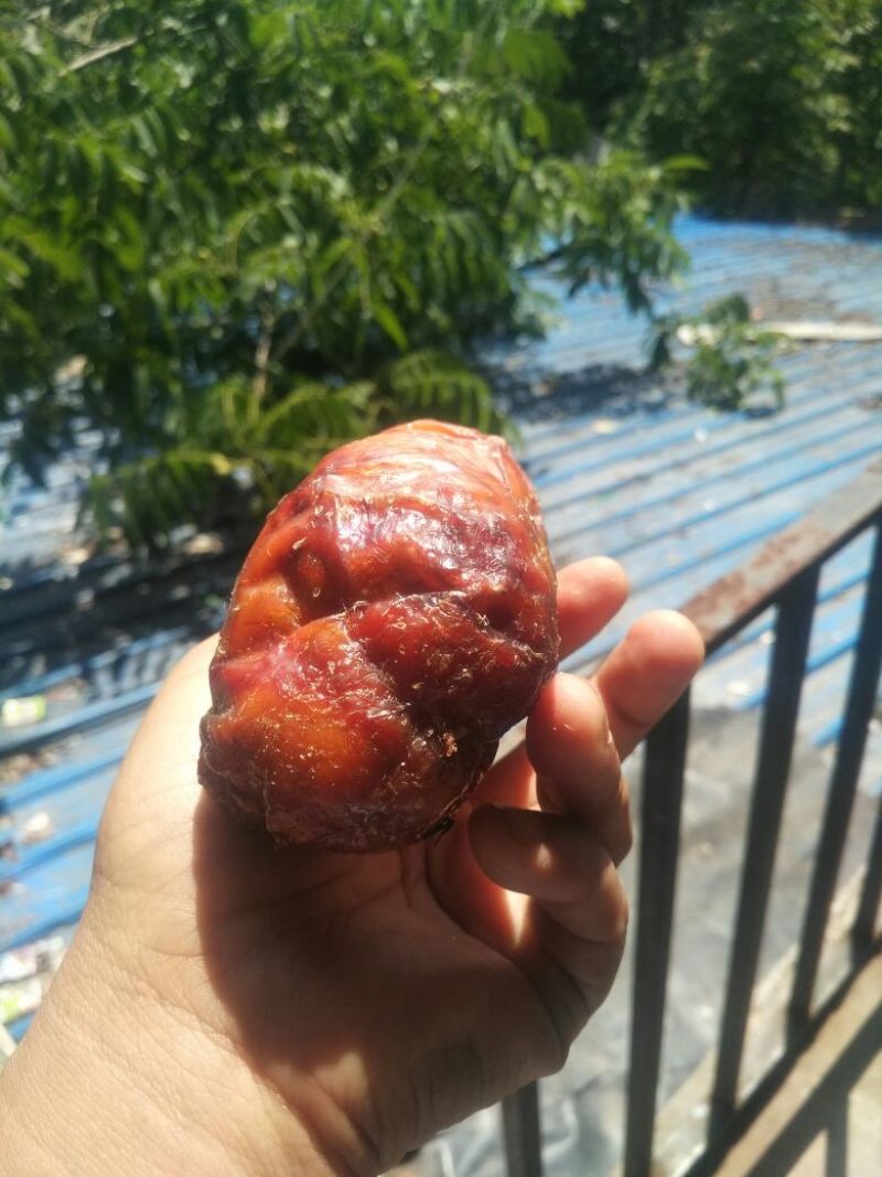 传说中的稀世鸡宝