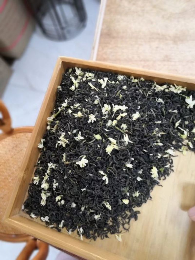 茉莉香针浓香型茉莉花茶2018年新茶