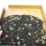 茉莉香针浓香型茉莉花茶2018年新茶