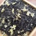 茉莉香针浓香型茉莉花茶2018年新茶