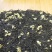 茉莉香针浓香型茉莉花茶2018年新茶