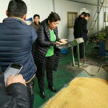 豆饼豆粉