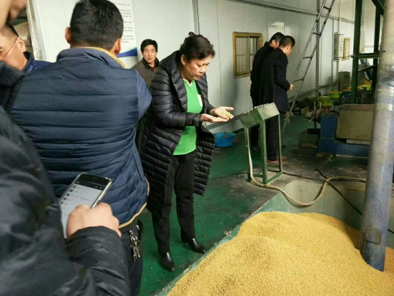 豆饼豆粉