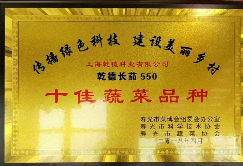 长茄550绿萼紫色长茄苗子