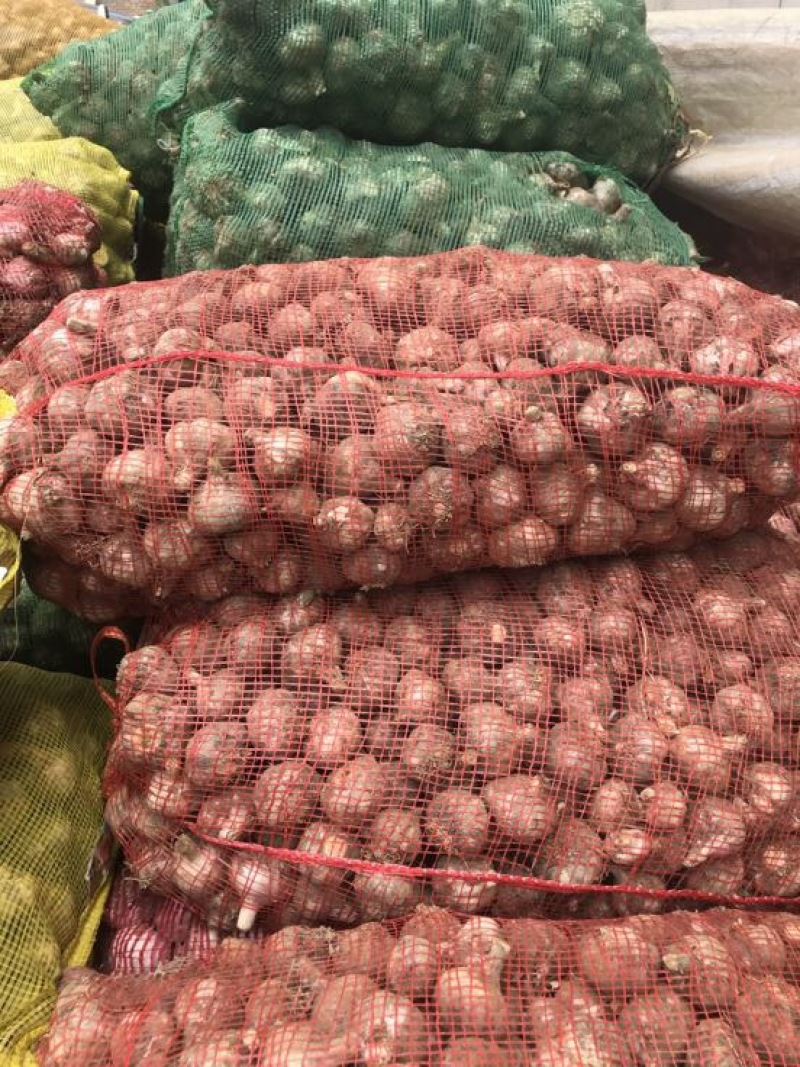 大蒜河南大蒜中混级，脱水蒜，扒米蒜一手货源量大从优