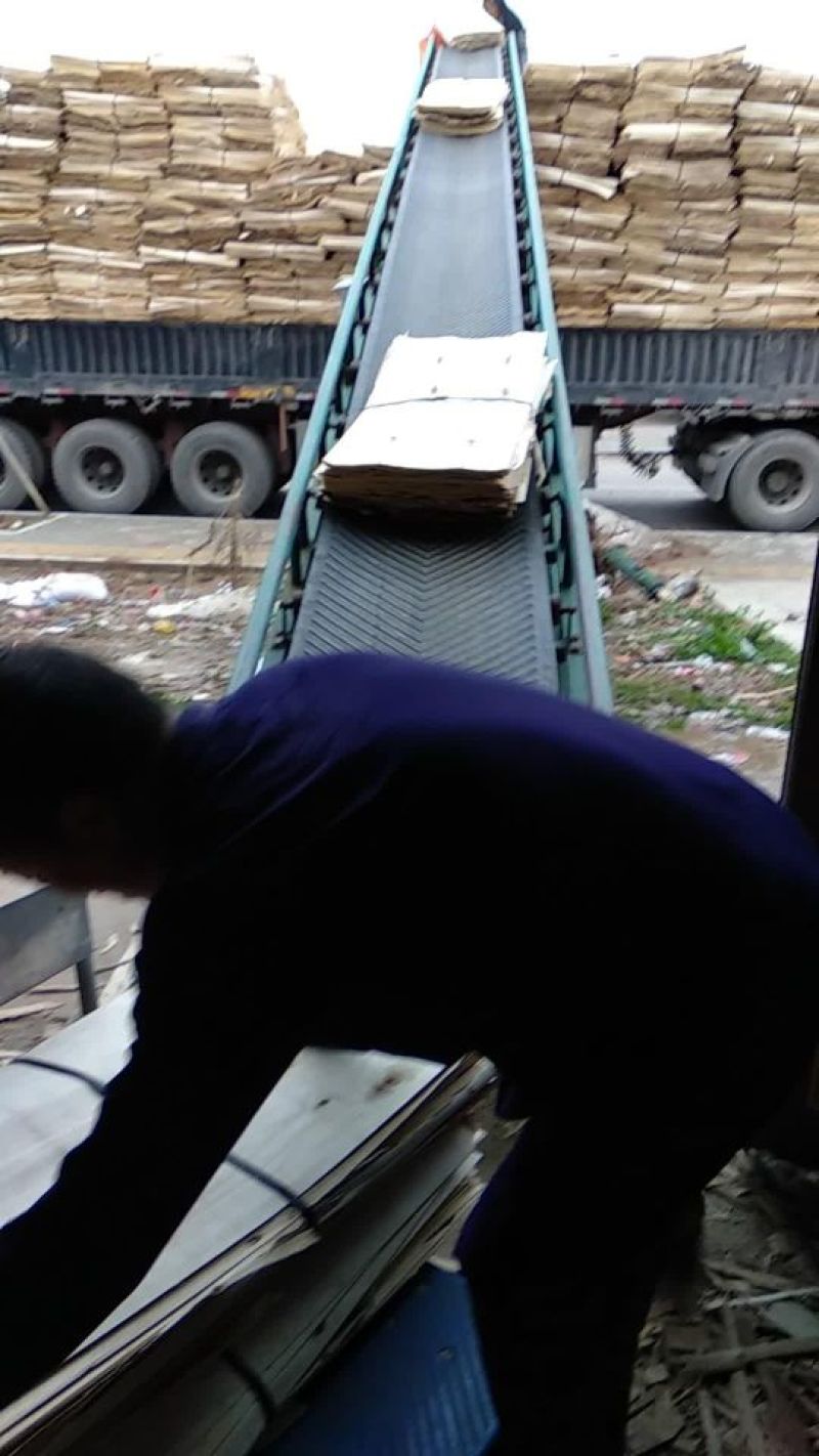 杨树皮