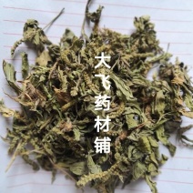 车前草江苏1公斤起批无硫无添加不包邮正品