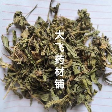 车前草江苏1公斤起批无硫***不包邮正品