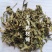 车前草江苏1公斤起批无硫***不包邮正品
