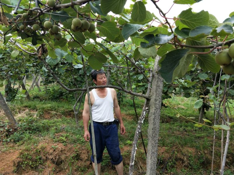 脆蜜桃，预售开始啦！