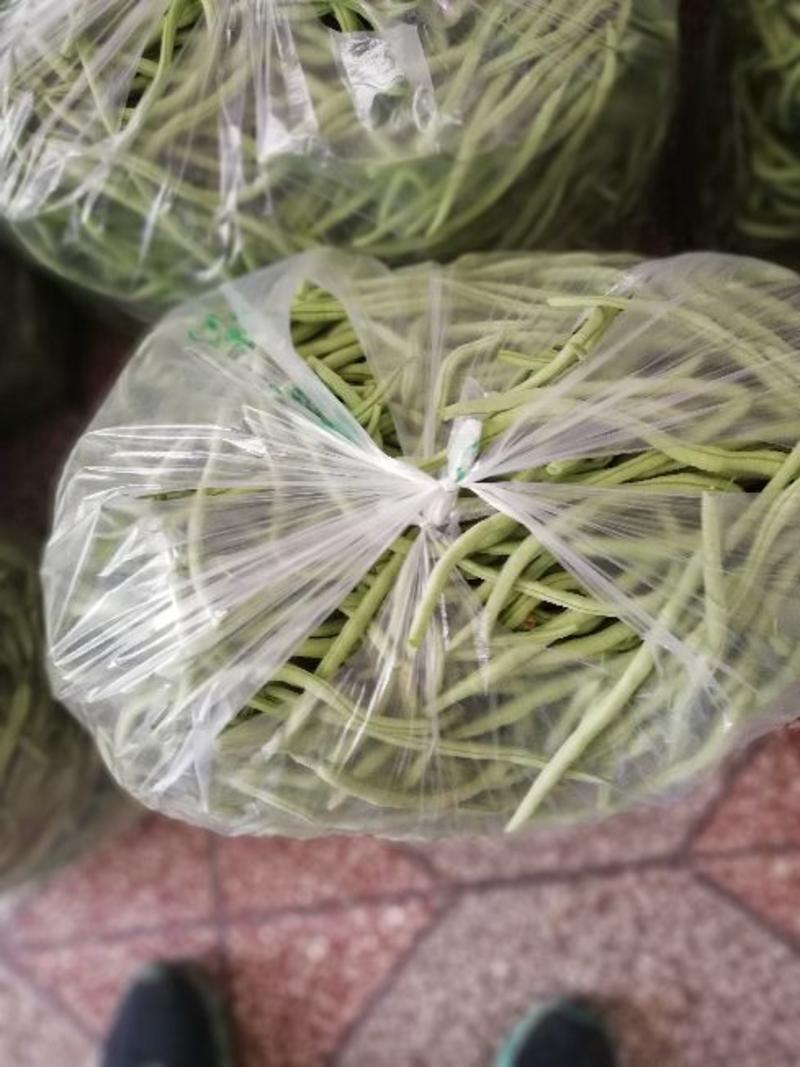 架豆王，四季豆，五月十五日大量上市，予售。