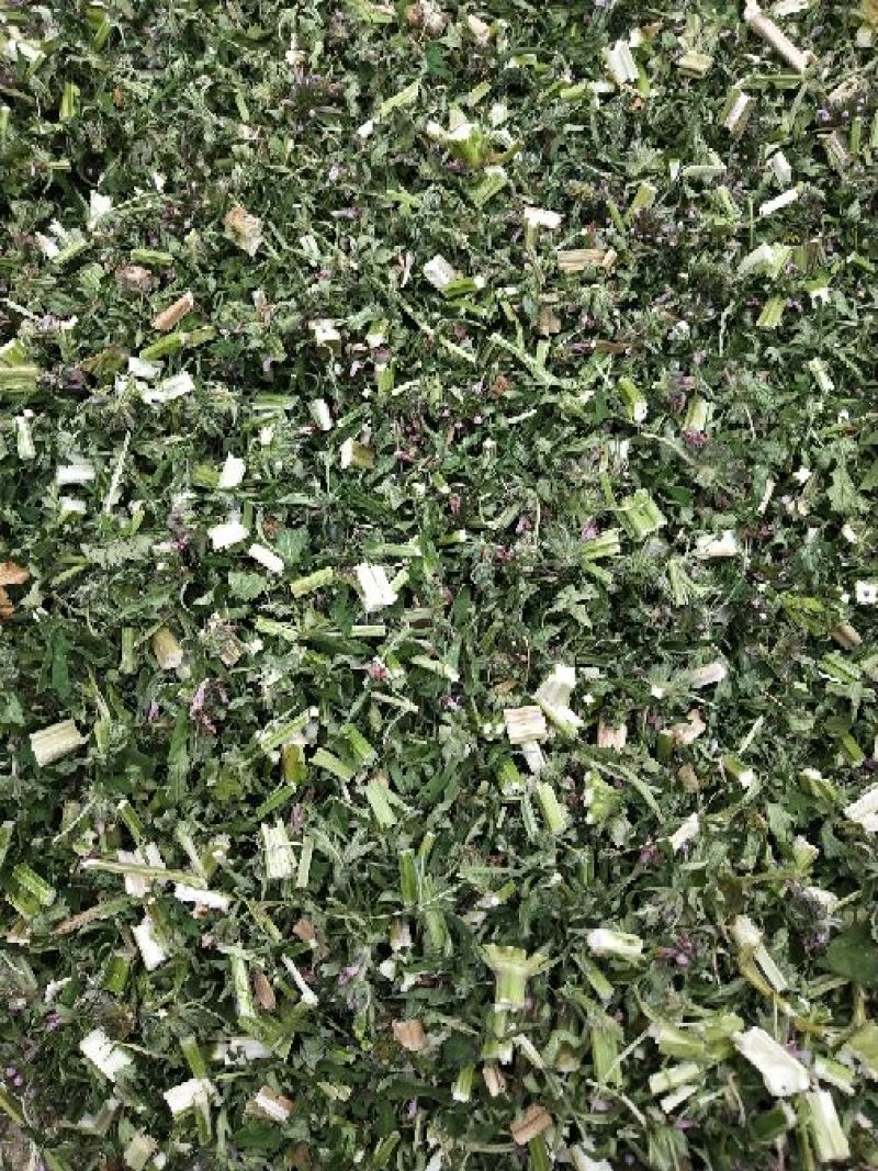 益母草片子，一公分